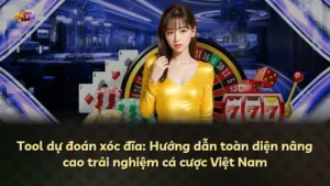 Tool dự đoán xóc đĩa: Hướng dẫn toàn diện nâng cao trải nghiệm cá cược Việt Nam